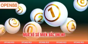 Mua Xổ Số Miền Bắc Online Tiện Lợi, Thao Tác Nhanh Gọn